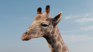 Render2 (1)